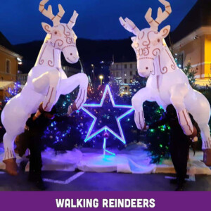 De Walking reindeers