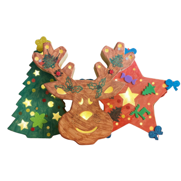 Workshop Kerst licht versieren - Afbeelding 4